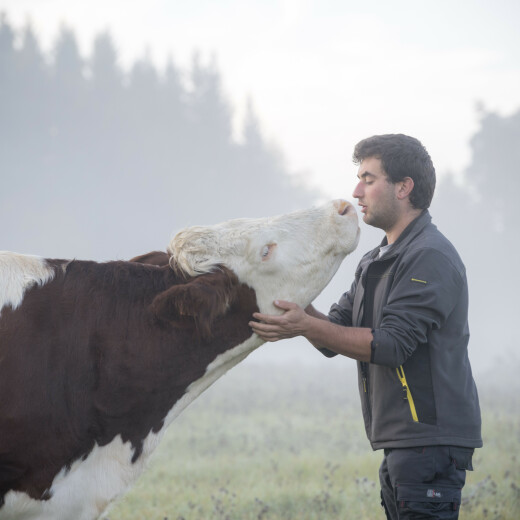 Animal well-being :