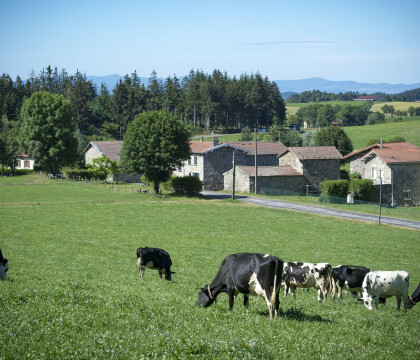photo 1 (1)